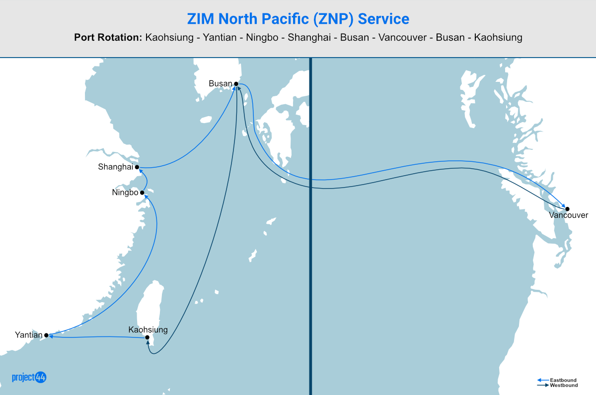 ZNP