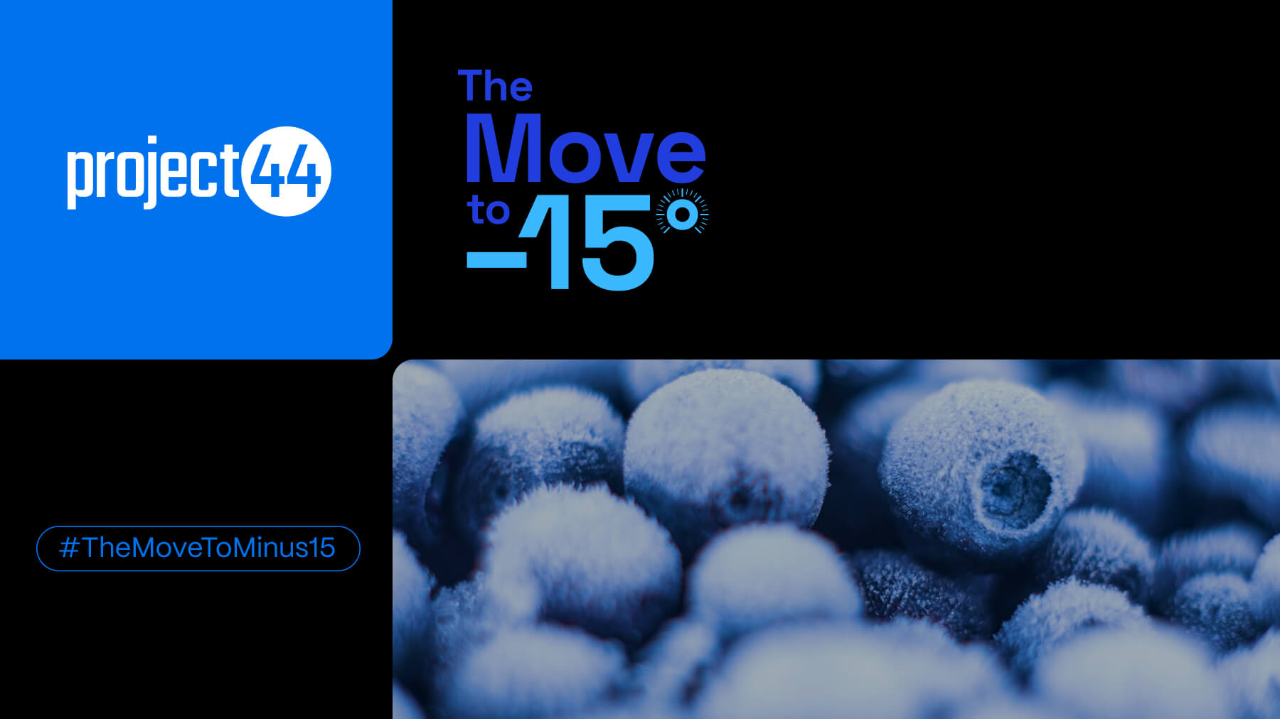 project44 & Move to Minus 15